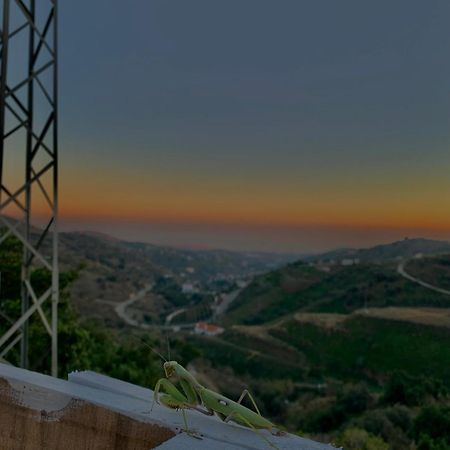 Casa Rural Malaga Monkey Love Con Jacuzzi Iznate Exterior foto